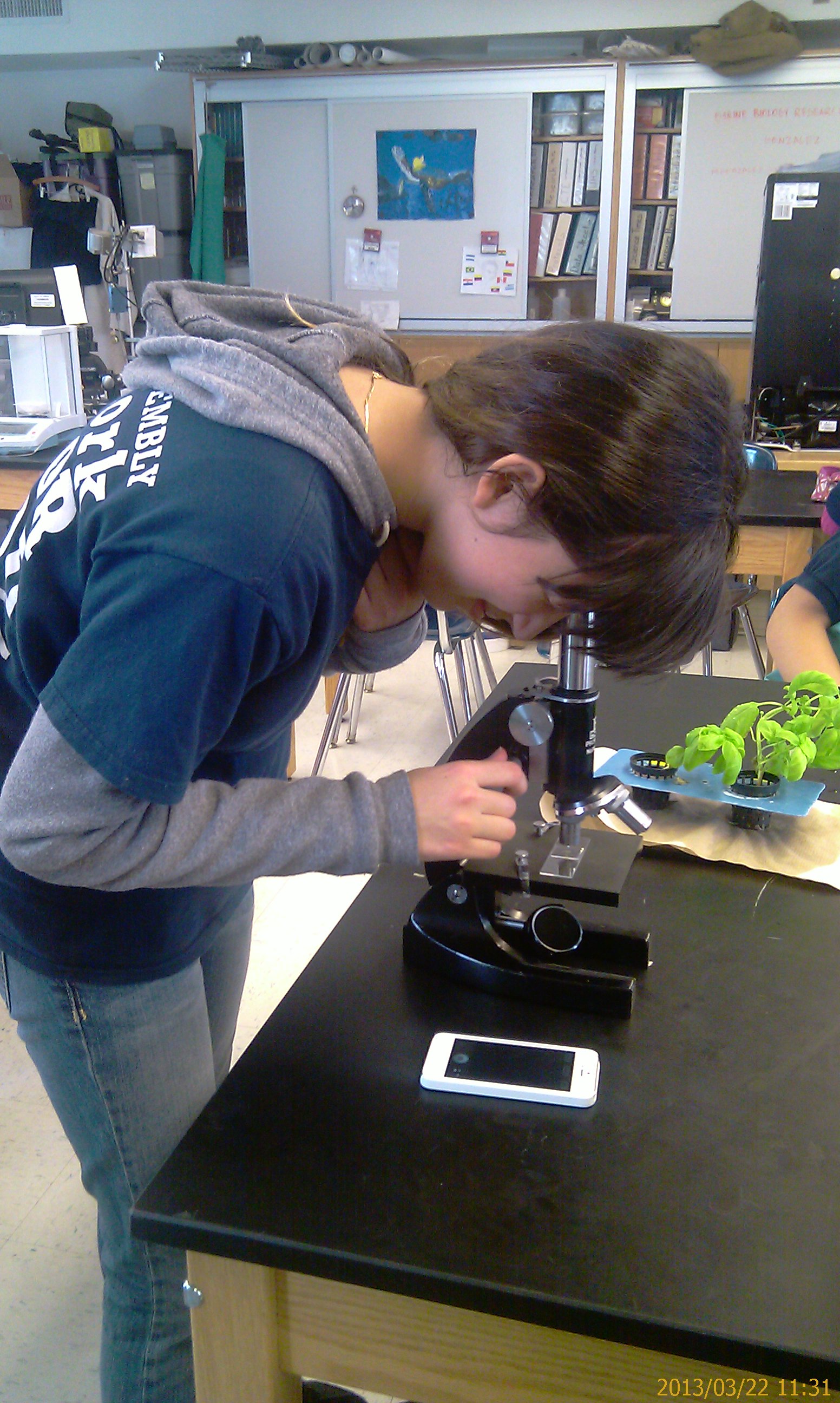 Skill: Microscopy for identifying the AEMs algae and protozoans.