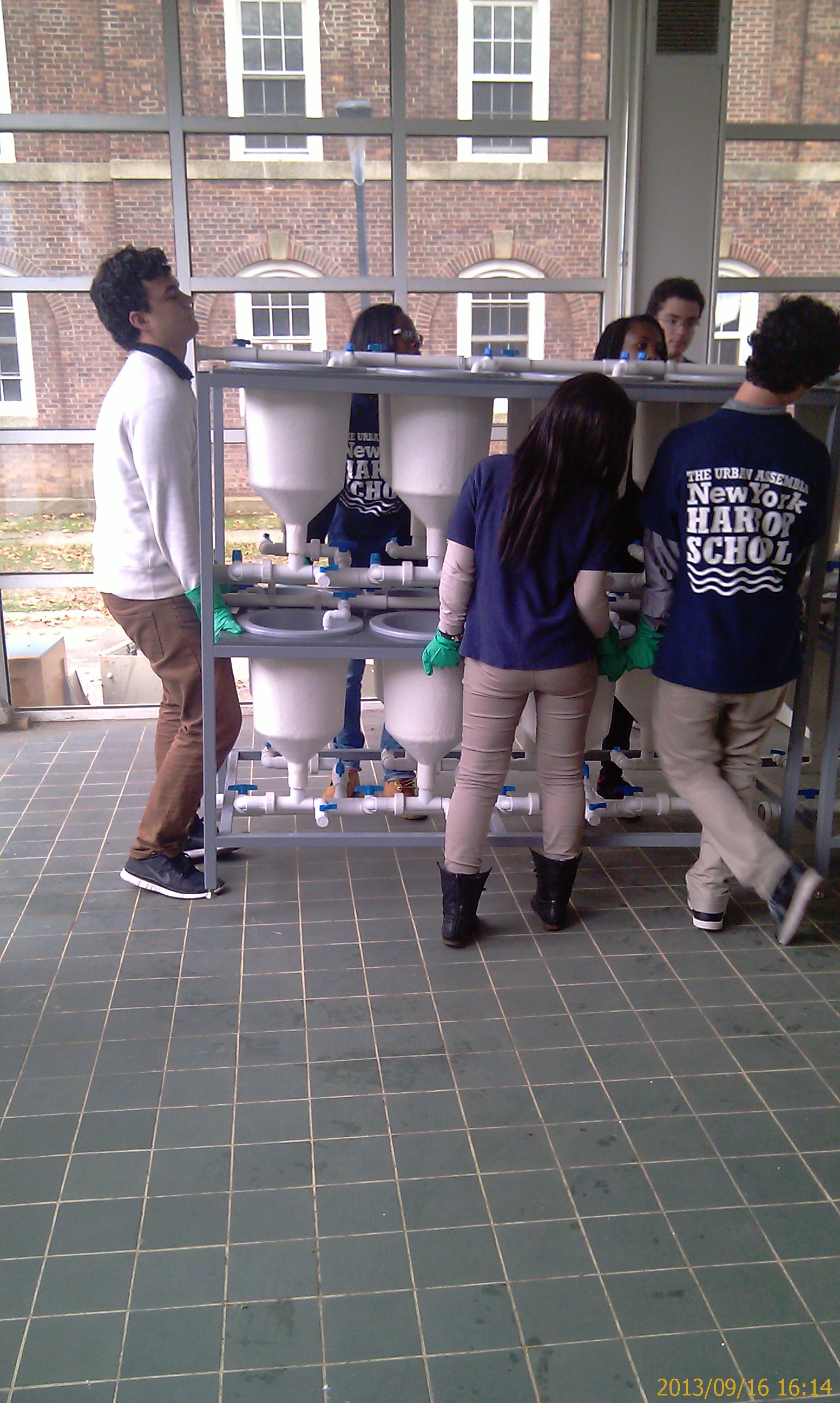 With the generous support of our scholars, we were able to move our lab to the Marine Science room in 3 days.