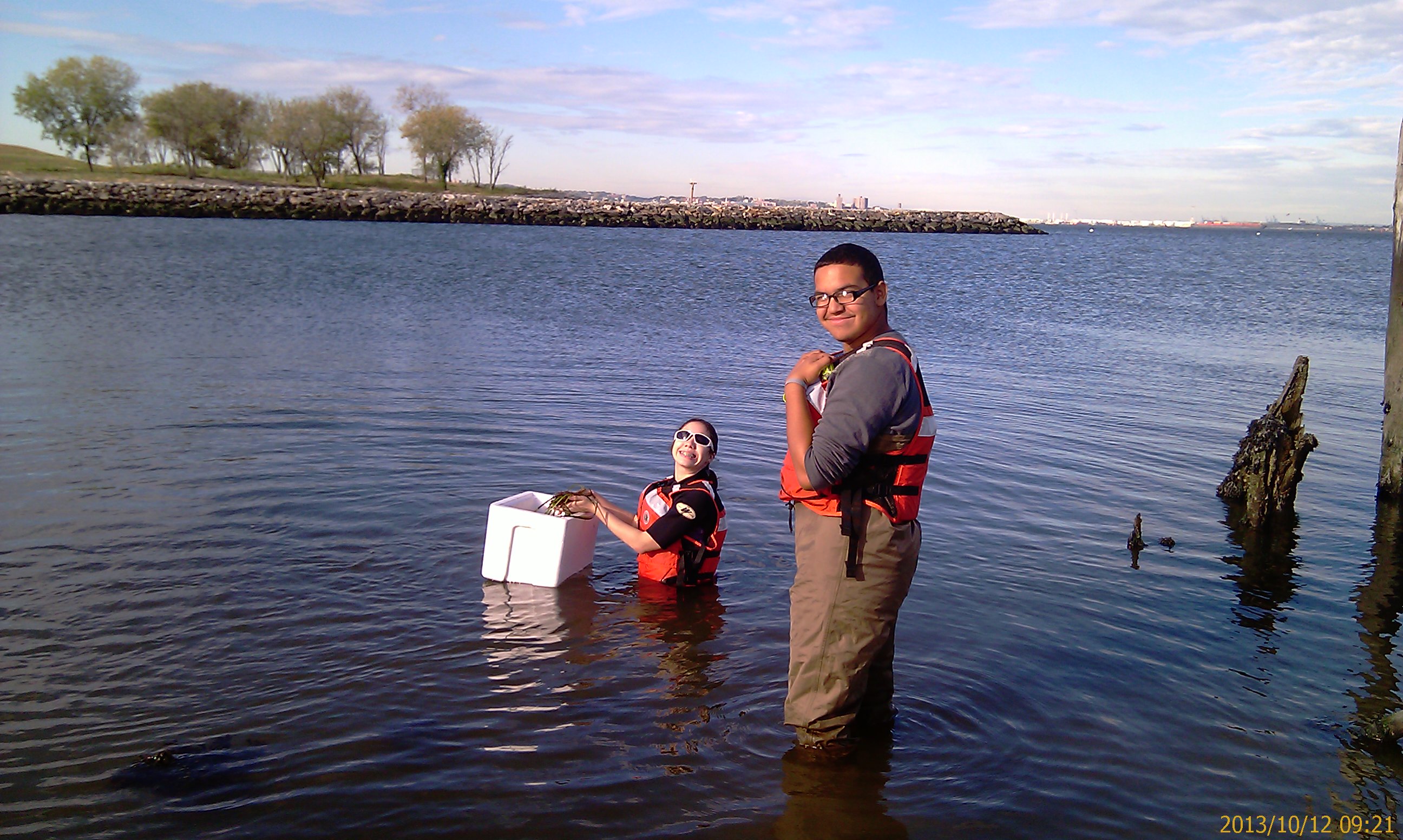 On October 12 we set off to restore eel grass at Brooklyn Pier’s Park.