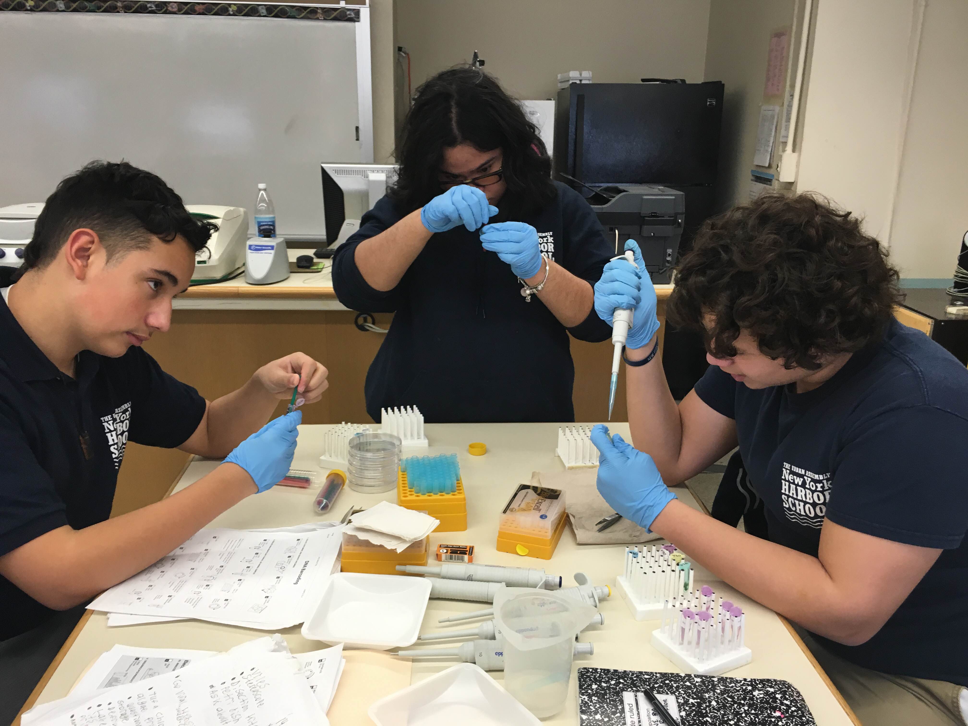 Marine Biology Research scholars Isabella Torres, Jared Vittore, and Seth Rivera extracting DNA from their algae samples. 